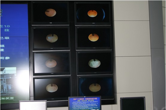 新疆天業(yè)：科技提升本質(zhì)安全水平